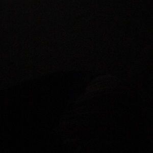 Meet your Posher, Daniela